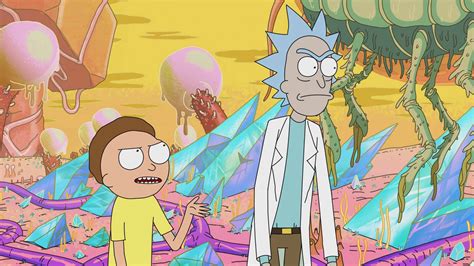 rick and morty s01e11 bdscr